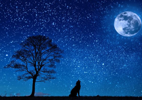 Foto Linea notte FIR - Nyx