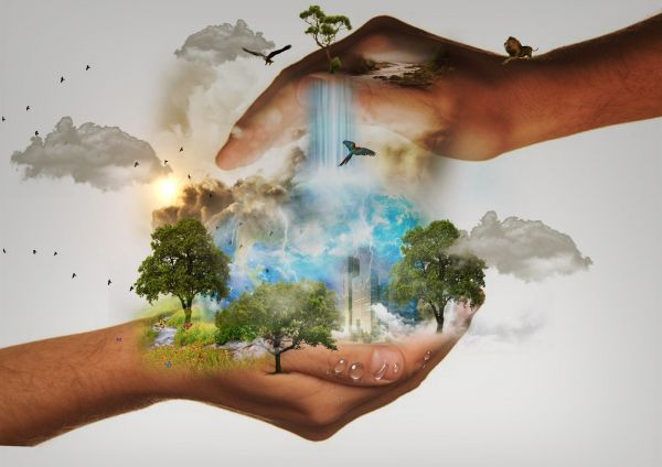 Foto Linea - Energy Protection